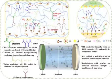 New materials enable lithium metal batteries to achieve ultra-long cycle life